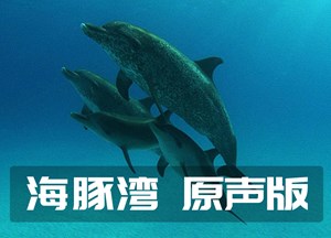 海豚湾 原声版