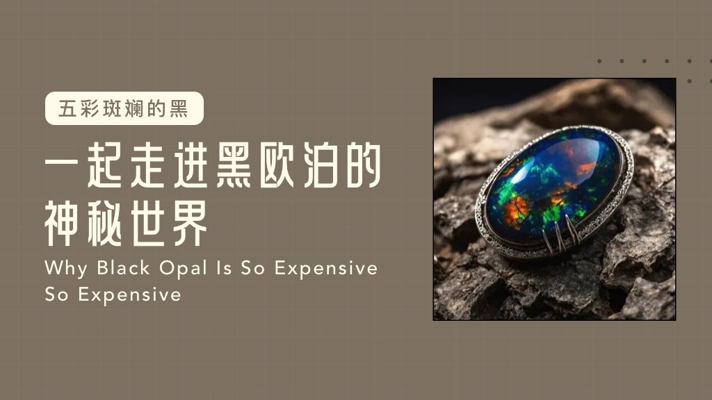 五彩斑斓的黑：一起走进黑欧泊的神秘世界