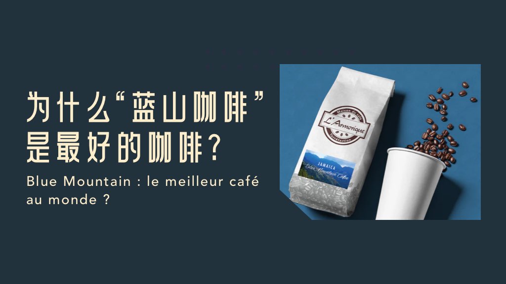 为什么“蓝山咖啡”是最好的咖啡？