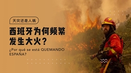 Alternate Text